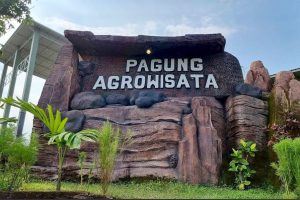 Mini Zoo Pagung Kediri: Liburan Satwa