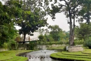 Taman Hutan Kota Pare: Oase Hijau untuk Pelajar Kampung Inggris